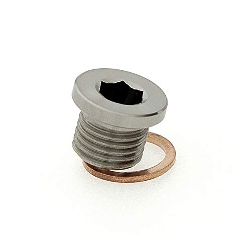 Slim Round Head Allen Key Slotted Plugs with Copper Washer